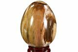 Colorful, Polished Petrified Wood Egg - Triassic #107388-1